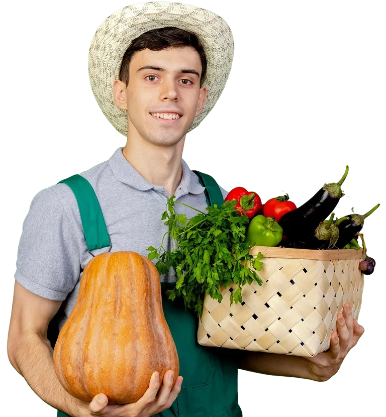 Bülten